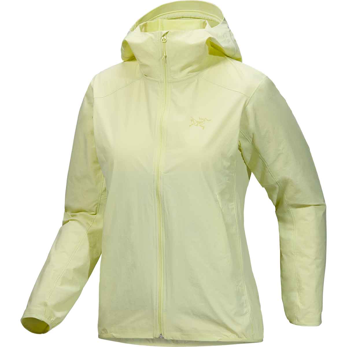 Arcteryx Gamma Lightweight Hoody Women's in Ray